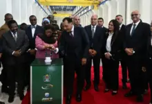 2.9 مليار دولار و2115 ميغاواط.. مشروع مصري ضخم يغيّر خريطة الطاقة في تنزانيا