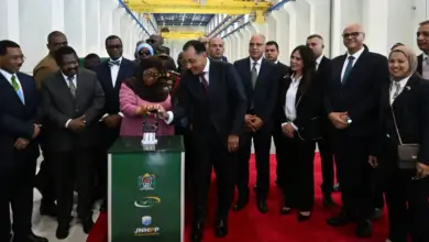 2.9 مليار دولار و2115 ميغاواط.. مشروع مصري ضخم يغيّر خريطة الطاقة في تنزانيا