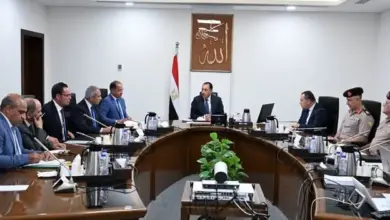 مصر تراهن على الجامعات لصناعة اقتصاد المعرفة.. البحث العلمي يدخل قلب الصناعة