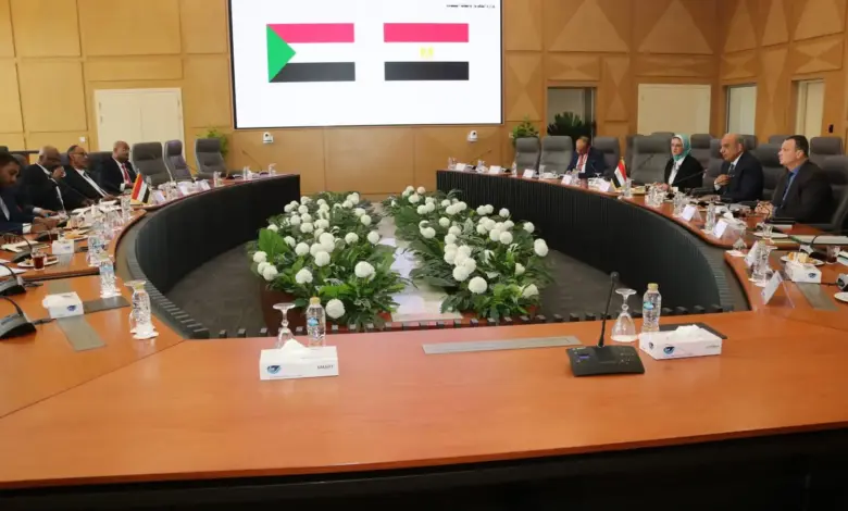 مصر تؤكد دعم قطاع الطاقة السوداني
