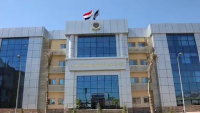 الداخلية تخفض رسوم المرور حتى 600 جنيه.. وتبدأ «الشباك الواحد» من 1 أكتوبر