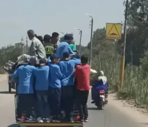 الصور المرفقة من طريق «منيا القمح - ميت جابر» بمحافظة الشرقية