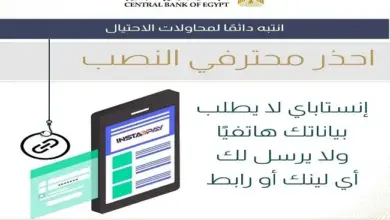 بعد تحذير «المركزي».. البنوك المصرية ترفع راية الخطر: احذروا النصب باسم «إنستا باي»