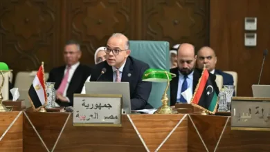 محمد فريد: التجارة العربية تتجاوز 250 مليار دولار.. ومصر تدعو لربط الأسواق
