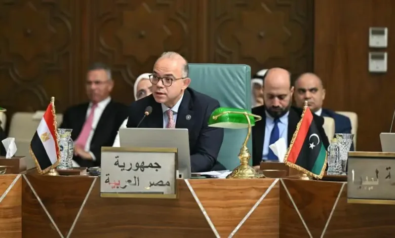 محمد فريد: التجارة العربية تتجاوز 250 مليار دولار.. ومصر تدعو لربط الأسواق
