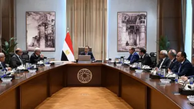 مدبولي يعيد رسم خريطة الشركات القابضة.. 6 كيانات على مائدة إعادة الهيكلة