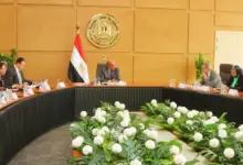 الكهرباء تستعد لموجة أحمال جديدة.. تطوير الشبكة لاستيعاب الطاقات المتجددة