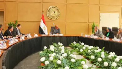 الكهرباء تستعد لموجة أحمال جديدة.. تطوير الشبكة لاستيعاب الطاقات المتجددة