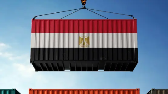 33.6 مليار دولار صادرات مصر غير النفطية في 8 أشهر.. ودعم المصدرين يقفز 55%