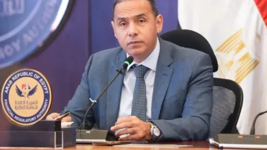 الرقابة المالية تُمهل شركات التمويل شهرين لتطبيق «OTP» وحماية الجدارة الائتمانية