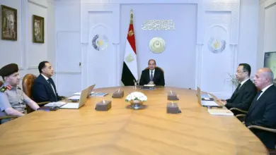 الرئيس السيسي يوجه بجذب استثمارات الذكاء الاصطناعي.. مصر تستهدف 8 مليارات دولار صادرات رقمية