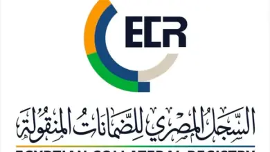 الرقابة المالية: 285 ألف إشهار بالسجل المصري للضمانات المنقولة
