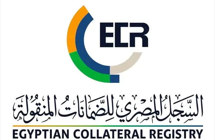 الرقابة المالية: 285 ألف إشهار بالسجل المصري للضمانات المنقولة
