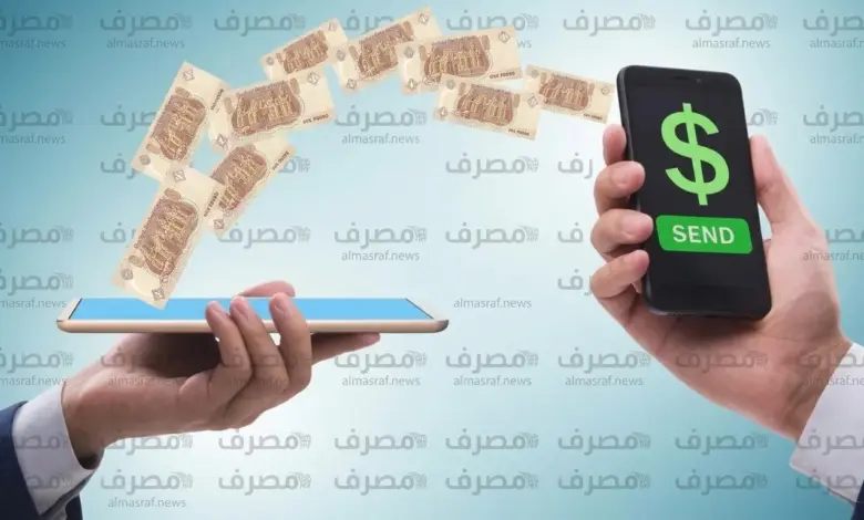 قبل ما تستخدمها .. 7 معلومات مهمة لازم تعرفها عن المحافظ الإلكترونية