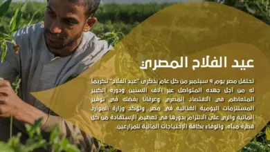 البنوك تبدأ اليوم فعاليات «عيد الفلاح».. خدمات مصرفية مجانية حتى 15 سبتمبر