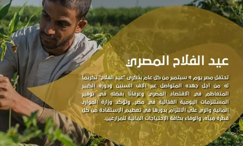 البنوك تبدأ اليوم فعاليات «عيد الفلاح».. خدمات مصرفية مجانية حتى 15 سبتمبر