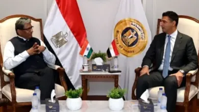 الهند تقترب من السوق المصرية.. استثمارات صناعية جديدة على الطريق