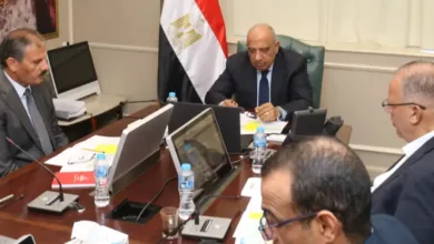 مصر تعيد رسم خريطة الطاقة حتى 2040.. بطاريات تخزين وقدرات متجددة جديدة على الشبكة