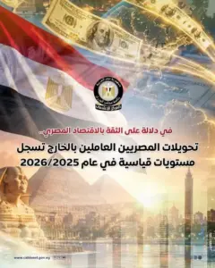رقم تاريخي .. تحويلات المصريين بالخارج تسجّل مستوى قياسيًا عند 47.3 مليار دولار