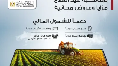 مفاجآت .. 15 يومًا من الخدمات المجانية.. ماذا تقدّم البنوك للمصريين في «عيد الفلاح»؟