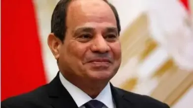 ننشر تفاصيل لقاء الرئيس السيسي مع رئيسة أورنج .. منح تدريبية واستثمارات جديدة في التكنولوجيا