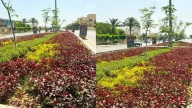 1.9 مليون شجرة و55 مليون متر أخضر.. خطة الإسكان لتغيير وجه المدن الجديدة