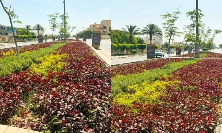 1.9 مليون شجرة و55 مليون متر أخضر.. خطة الإسكان لتغيير وجه المدن الجديدة