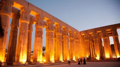 مصر تراهن على السياحة العلاجية.. 13.3 ألف مريض أجنبي و6 ملايين دولار مستهدفات 2026