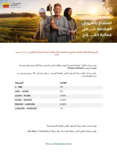 بعائد 7%.. «التجاري وفا بنك» يطرح مزايا جديدة ضمن الشمول المالي.. تفاصيل