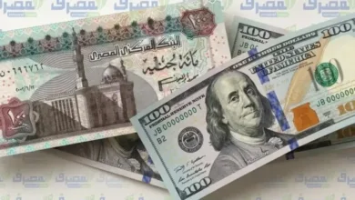 سعر الدولار مقابل الجنيه اليوم الأربعاء 2 سبتمبر 2026 .. آخر تحديث