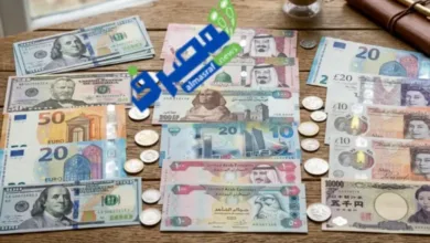 أسعار العُملات العربية والأجنبية اليوم الأربعاء 2-9-2026 في البنوك المصرية.. آخر تحديث