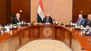 من شبرد إلى فورسيزون الأقصر.. خطة حكومية لإحياء الأصول السياحية وتعظيم عوائدها