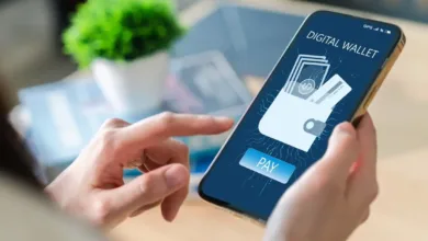 30 ألف جنيه يوميًا .. اعرف حدود معاملات محفظتك الإلكترونية يوميًا وشهريًا