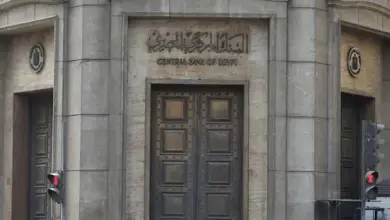 المركزي: ارتفاع حصة القطاع الخاص من القروض إلى 41.7% بنهاية يونيو