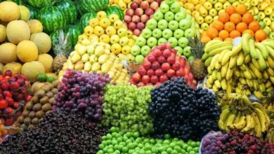 التضخم في مصر يتراجع إلى 14.5% رغم زيادة أسعار الكهرباء