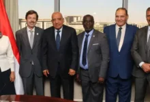 مصر تبدأ تحديث مواصفات المحولات والعدادات والبطاريات وفق المعايير الدولية