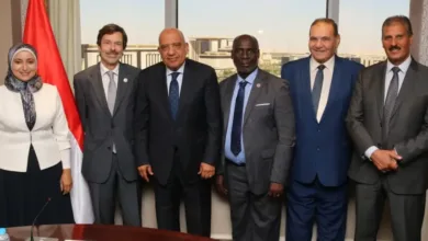 مصر تبدأ تحديث مواصفات المحولات والعدادات والبطاريات وفق المعايير الدولية