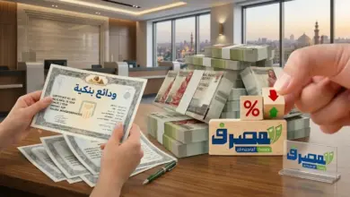 أعلى عائد 22.5%.. تفاصيل ودائع البنوك المصرية بعد تثبيت الفائدة