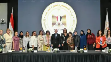 وزير الاستثمار يبحث مع مجلس سيدات الأعمال العرب تعزيز الاستثمارات وتمكين المرأة اقتصاديًا