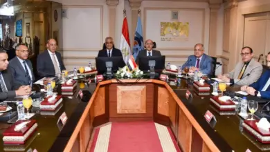 لجنة مشتركة وتدبير موحد للخامات.. تحرك جديد بين العربية للتصنيع والإنتاج الحربي