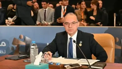18 مليار دولار استثمارات أجنبية في مصر.. وفريد يحدد الخطوة التالية
