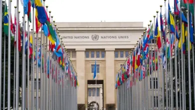 التجارة تنمو 4% والاقتصاد يتباطأ.. أونكتاد تكشف فجوة مكاسب الذكاء الاصطناعي