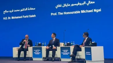 محمد فريد: ربط المستثمرين بالموردين المحليين يعظم عائد الاستثمار الأجنبي