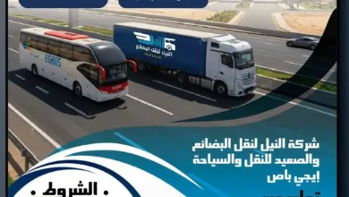 وظائف جديدة.. وظائف للسائقين درجة أولى في «إيجي باص» و«النيل لنقل البضائع».. اعرف أماكن التقديم