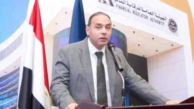 الرقابة المالية تمنح شركات التمويل غير المصرفي مهلة حتى 29 أكتوبر لتدقيق بيانات 2026