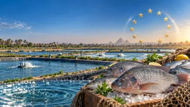 الاتحاد الأوروبي يفتح سوقه أمام الاستزراع السمكي المصري.. والأسماك والقشريات ضمن القرار