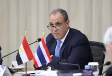 "مصري بالخارج".. تطبيق ينهي معاناة 17 بعثة قنصلية مع الخدمات الرقمية