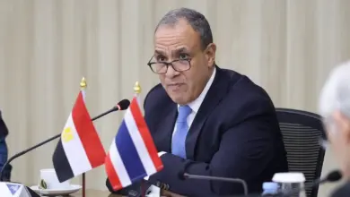 "مصري بالخارج".. تطبيق ينهي معاناة 17 بعثة قنصلية مع الخدمات الرقمية