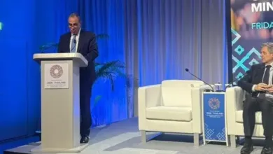 من أقل من 1% إلى 6%.. مصر تراهن على التمويل الخاص لرفع مساهمة التعدين