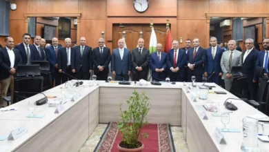 4.6 مليار جنيه.. مصر تسند تشغيل وصيانة 11 محطة تحلية للقطاع الخاص بطاقة 485 ألف متر مكعب يوميًا